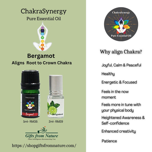 Bergamot Chakra Synergy Pure Essential Oil