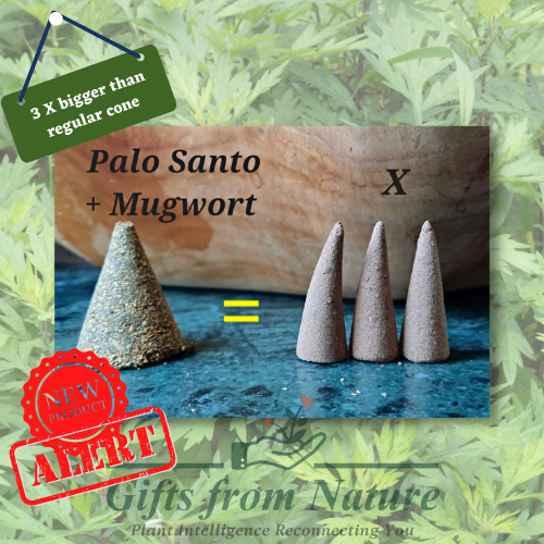 Mugwort Magic & Palo Santo Handmade Incense Cone