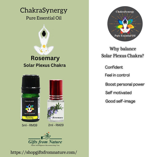 Rosemary Chakra Synergy Pure Essential Oil