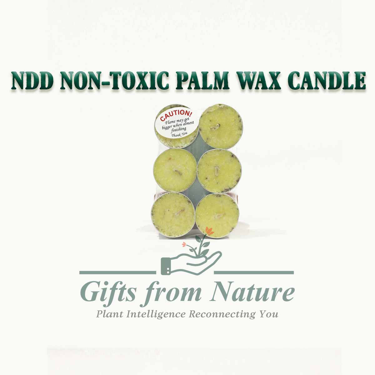 NDD Non-Toxic Palm Wax Candle