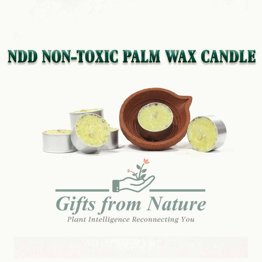 NDD Non-Toxic Palm Wax Candle