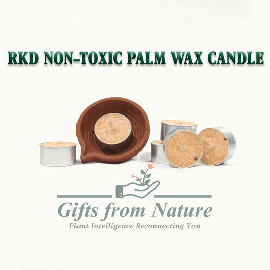 RKD Non-Toxic Palm Wax Candle
