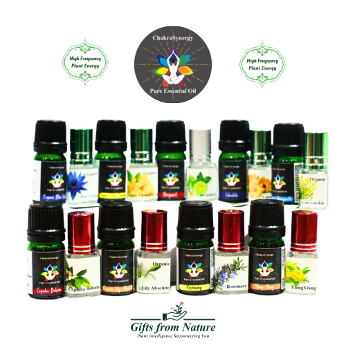 Organic Golden Champaka Chakra Synergy Pure Essential Oil