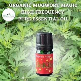 Mugwort Magic High Frequency Essential Oil